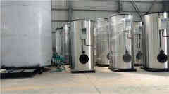  六吨低氮天然气星空网（中国）