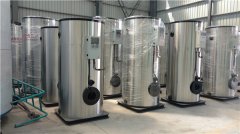  三吨立式蒸汽星空网（中国）