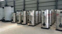  一吨冷凝燃油星空网（中国）