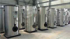  15吨低氮冷凝蒸汽星空网（中国）