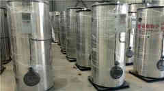  12吨燃油燃气蒸汽星空网（中国）