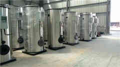  15吨天然气热水星空网（中国）