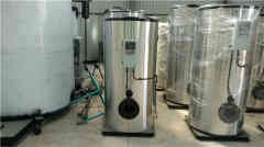  4吨低氮蒸汽星空网（中国）