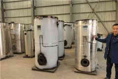  0.1吨低氮热水星空网（中国）