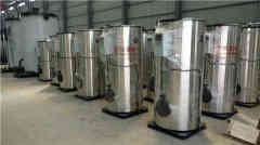  八吨冷凝燃油星空网（中国）