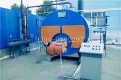  1吨立式燃气蒸汽星空网（中国）