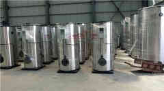  6吨卧式蒸汽星空网（中国）