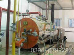  立式蒸汽星空网（中国）