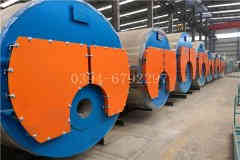  10吨低氮燃气星空网（中国）