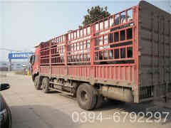  40万大卡常压热水星空网（中国）