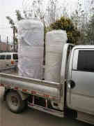 燃气热水洗浴星空网（中国）