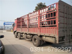 6吨电加热蒸汽星空网（中国）