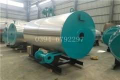 10吨生物质蒸汽星空网（中国）