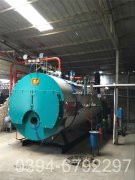 十吨燃煤蒸汽星空网（中国）