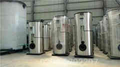 6吨低氮天然气星空网（中国）