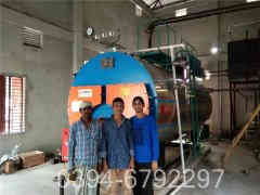 六吨燃煤蒸汽星空网（中国）