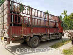 星空网（中国）蒸汽系统