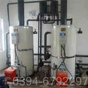 2吨燃气低氮星空网（中国）