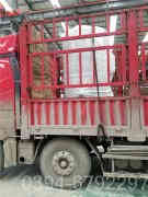 燃煤燃气星空网（中国）对比