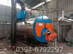 燃气卧式蒸汽星空网（中国）