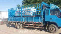 最小型燃煤蒸汽星空网（中国）