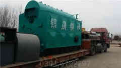 12吨燃煤星空网（中国）