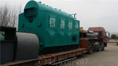 WNS20-1.25-QY型燃油气蒸汽星空网（中国）