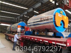 20吨燃煤星空网（中国）价格