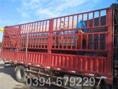 0.2吨低氮热水星空网（中国）