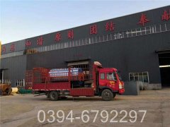 4吨冷凝燃气星空网（中国）