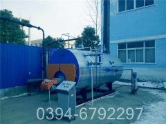 燃气卧式蒸汽星空网（中国）