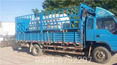 10吨燃油燃气星空网（中国）