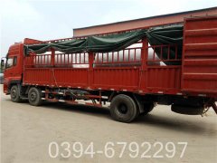 燃油热水星空网（中国）