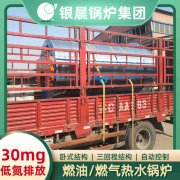 WNS12-1.25-QY冷凝蒸汽星空网（中国）河南银晨星空网（中国）集团有限公司