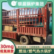 WNS4-1.25-QY冷凝蒸汽星空网（中国）太康县银晨星空网（中国）有限公司