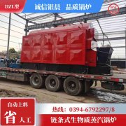 WNS3-1.25-QY环保蒸汽星空网（中国）银晨星空网（中国）集团