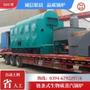 WNS0.5-1.0-QY冷凝蒸汽星空网（中国）太康银晨星空网（中国）