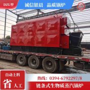 WNS0.3-0.7-QY低氮蒸汽星空网（中国）太康县银晨星空网（中国）厂