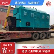 WNS0.3-0.7-QY冷凝蒸汽星空网（中国）河南银晨星空网（中国）集团有限公司