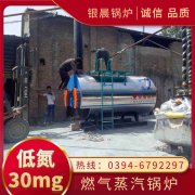 12吨节能蒸汽星空网（中国）太康县银晨星空网（中国）厂