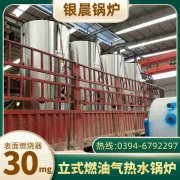 6吨环保蒸汽星空网（中国）太康银晨星空网（中国）厂