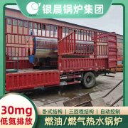 6吨燃气蒸汽星空网（中国）银晨星空网（中国）厂