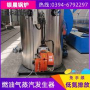 6吨环保蒸汽星空网（中国）银晨星空网（中国）客户服务