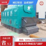 2吨环保蒸汽星空网（中国）太康县银晨星空网（中国）厂