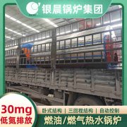 0.2吨低氮冷凝蒸汽星空网（中国）银晨星空网（中国）厂