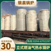 0.5吨低氮冷凝蒸汽星空网（中国）银晨星空网（中国）公司