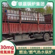 0.3吨节能蒸汽星空网（中国）银晨星空网（中国）售后