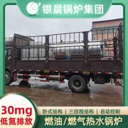 0.3吨节能蒸汽星空网（中国）银晨星空网（中国）售后服务