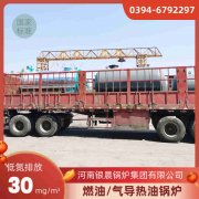 0.2吨低氮蒸汽星空网（中国）银晨星空网（中国）售后服务