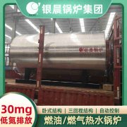 卧式燃煤蒸汽星空网（中国）